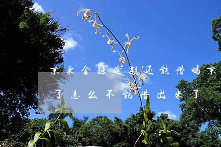 京东金融逾期还能借吗(京东金融逾期几天还了怎么不能借出来了)