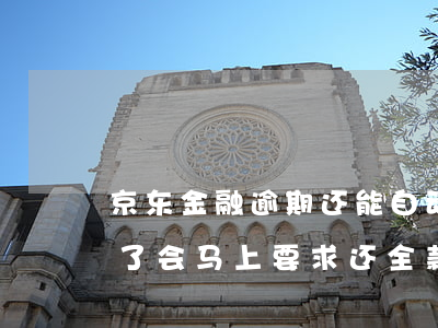 京东金融逾期还能自动扣款(京东金融逾期还了,会马上要求还全款吗)