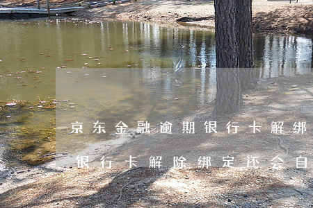 京东金融逾期银行卡解绑会扣钱么(京东金融银行卡解除绑定还会自动扣款吗)