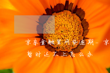 京东金融里网贷逾期-京东金融网贷逾期了暂时还不上怎么办