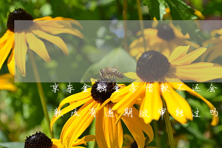 京东金融金条借款不还会判刑吗（京东金条借款没有逾期政审能过吗）