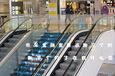 京东金融金条逾期三个月了(京东金融金条逾期半个月了会有什么后果?)