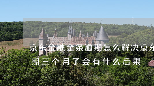 京东金融金条逾期怎么解决(京东金融金条逾期三个月了会有什么后果?)