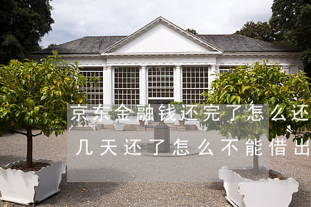 京东金融钱还完了怎么还逾期(京东金融逾期几天还了怎么不能借出来了)