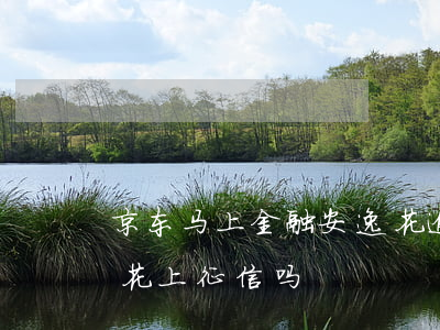 京东马上金融安逸花逾期(京东马上金融安逸花上征信吗)