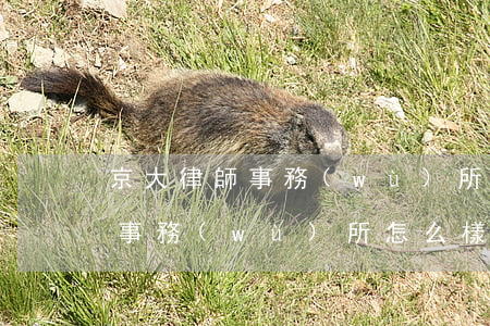 京大律師事務(wù)所好嗎(北京京都律師事務(wù)所怎么樣)