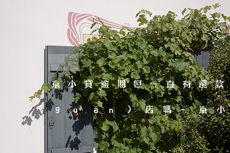京小貸逾期但一直有還款會(huì)關(guān)店嗎-京小貸逾期但一直有還款會(huì)關(guān)店嗎是真的嗎