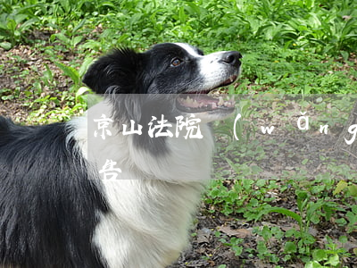 京山法院網(wǎng)站(京山法院最新公告)