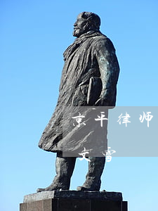 京平律师所有律师(京平律师所有律师官网王文雪)