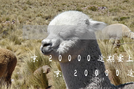 京東20000逾期要上門核實(shí)嗎-京東20000逾期要上門核實(shí)嗎是真的嗎