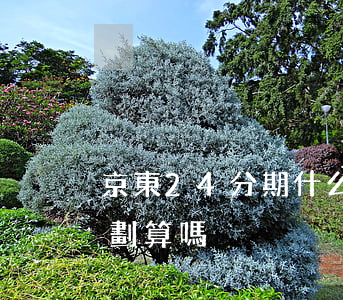 京東24分期什么時候免息(京東24期分期劃算嗎)