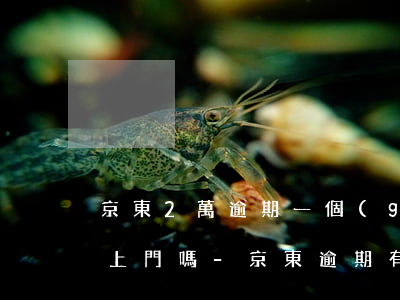 京東2萬逾期一個(gè)月會(huì)上門嗎-京東逾期有上門的嗎