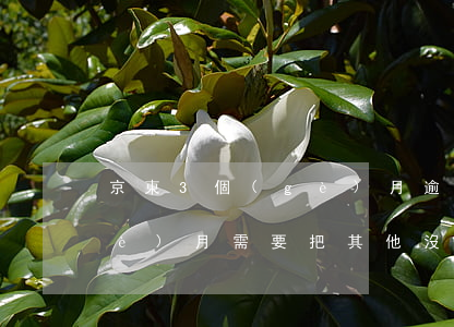 京東3個(gè)月逾期(京東逾期2個(gè)月,需要把其他沒有逾期的也要還嗎)