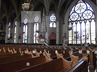京東61812期免息（京東618有分期免息）