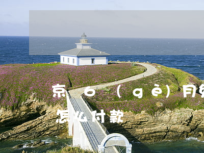 京東6個(gè)月免息分期(京東6期免息怎么付款)