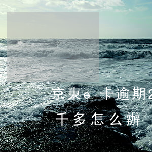 京東e卡逾期2千多怎么辦(京東e卡逾期2千多怎么辦)