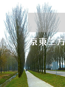 京東三方逾期
