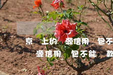京東上的廣源信用錢包不能還款-京東上的廣源信用錢包不能還款怎么辦