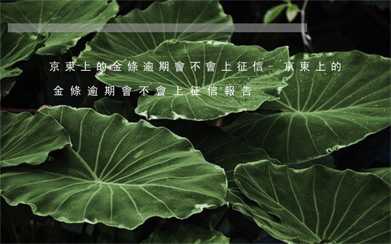 京東上的金條逾期會不會上征信-京東上的金條逾期會不會上征信報告