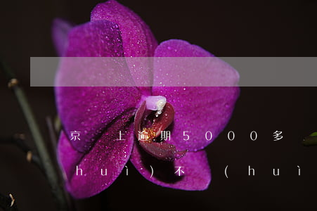 京東上逾期5000多兩個(gè)月會(huì)不會(huì)被起訴（京東五千元可以逾期多久）