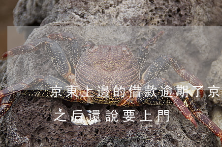 京東上邊的借款逾期了(京東逾期了,逾期還上之后,還說要上門)