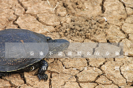 京東不能逾期么(在京東逾期了現(xiàn)在沒(méi)辦法還可以溝通嗎)