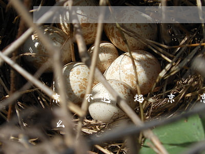 京東不退錢起訴京東(京東不退錢起訴京東怎么辦)