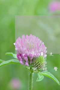 京東交易被起訴(被京東起訴沒接到任何通知,就被警察帶走)