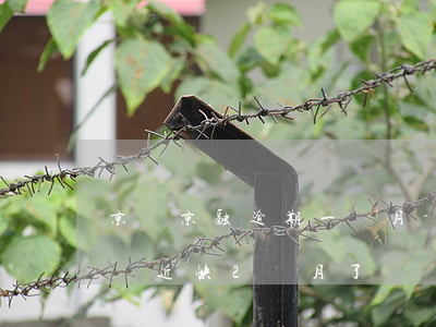 京東京融逾期一個月-京東金融幾百逾期了將近快2個月了