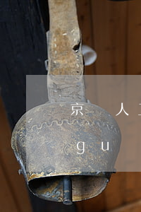 京東人工客服給我取消了逾期(京東在線關(guān)閉客服)