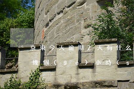 京東今天逾期2天有什么影響嗎-京東逾期幾個(gè)小時(shí)