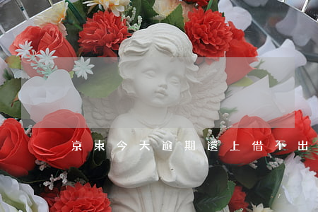 京東今天逾期還上借不出來嗎