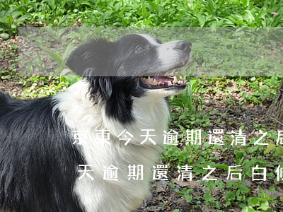 京東今天逾期還清之后白條能用嗎-京東今天逾期還清之后白條能用嗎安全嗎