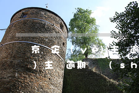 京東企業(yè)主貸逾期(京東企業(yè)主貸逾期,暫時(shí)還了一部分)