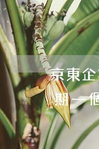 京東企業(yè)貸款逾期一天(京東金融逾期一個(gè)月了要我全部還清)