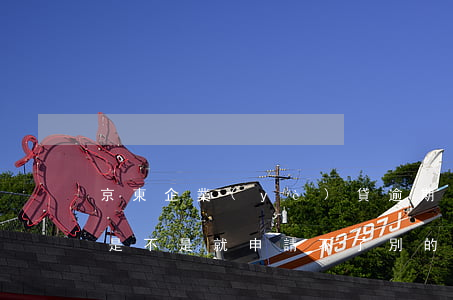 京東企業(yè)貸逾期了(京東有逾期記錄是不是就申請不了別的貸款)