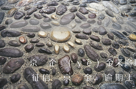 京東企業(yè)金采逾期會(huì)上征信嗎(京東金條逾期上報(bào)征信,征信會(huì)受到影響嗎)