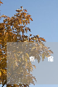 京東保證金不退起訴(京東保證金退到哪里)