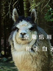 京東信用卡白天逾期三個(gè)月(京東信用卡白天逾期三個(gè)月)