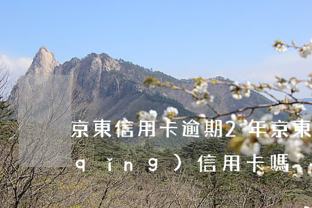 京東信用卡逾期2年(京東逾期后還能申請(qǐng)信用卡嗎)