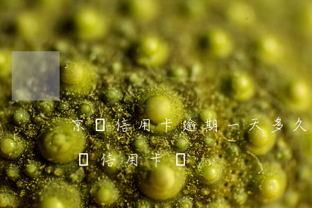 京東信用卡逾期一天多久(京東逾期2天影響辦信用卡嗎)