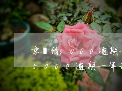 京東借5000逾期一年利息多少-京東借5000逾期一年利息多少錢