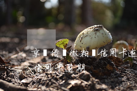 京東借唄微粒貸信用卡逾期(微粒貸借唄花唄信用卡逾期)