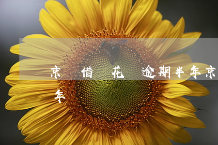 京東借唄花唄逾期半年(京東借唄花唄逾期半年)