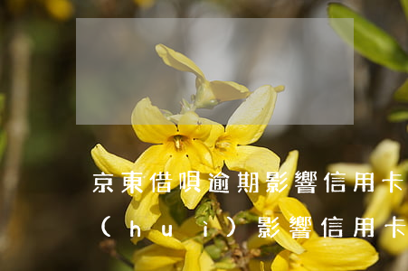 京東借唄逾期影響信用卡嗎(借唄花唄逾期會(huì)影響信用卡嗎)