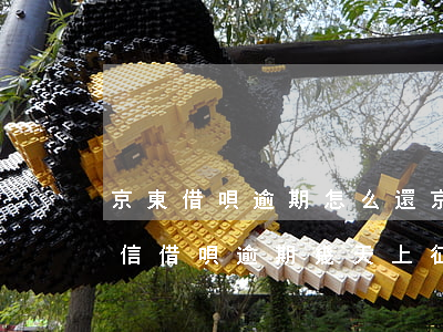 京東借唄逾期怎么還 京東白天逾期多久上征信?借唄逾期幾天上征信