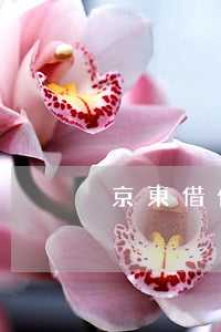 京東借條逾期會怎樣-京東借款超期怎么辦