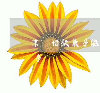 京東借款最多能欠多久（京東借款最多能逾期多長時間）