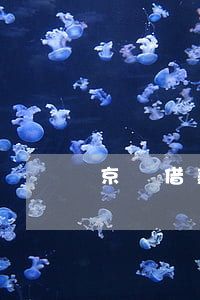 京東借款逾期3天(京東借款超期怎么辦)