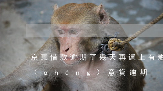 京東借款逾期了幾天再還上有影響么（京東誠(chéng)意貸逾期）